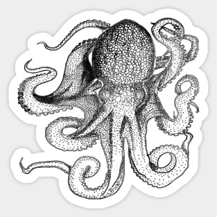 Octopus black line drawing Sticker